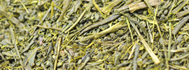 煎茶 Sencha