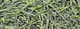 玉露 Gyokuro