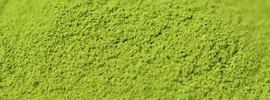 抹茶 Maccha
